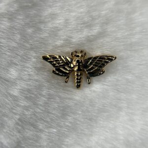 Moth