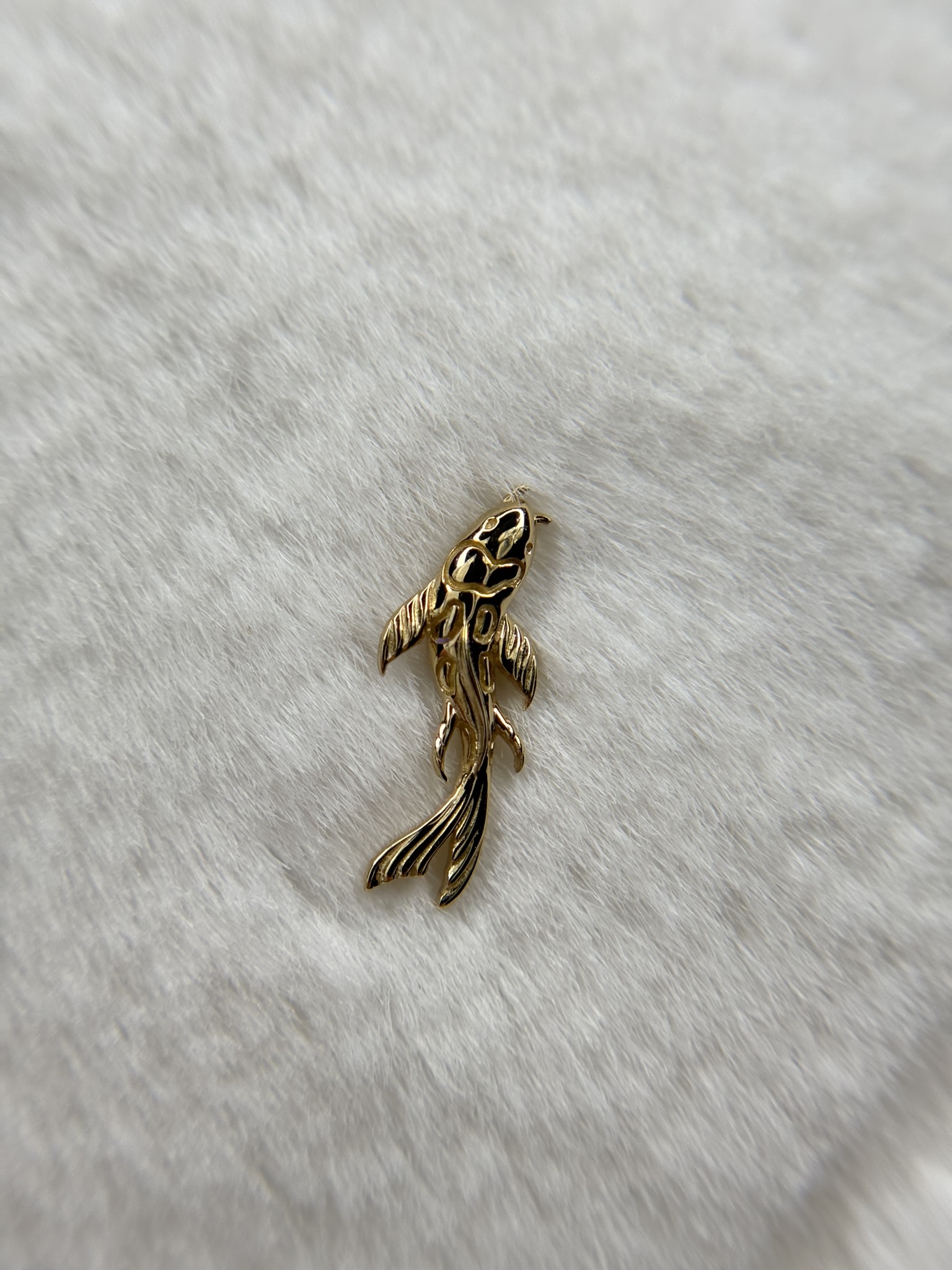 Koi