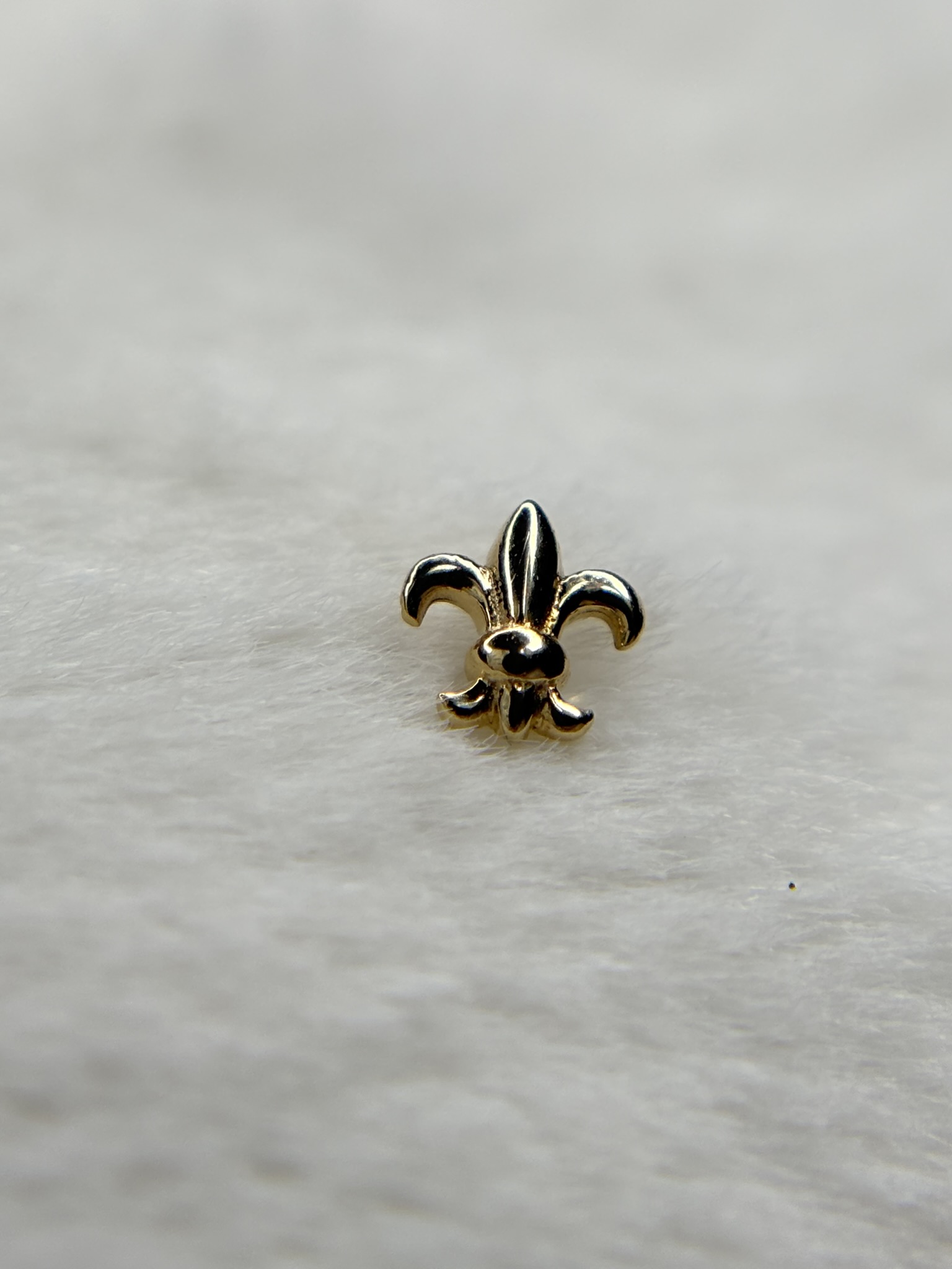 fleur de lis