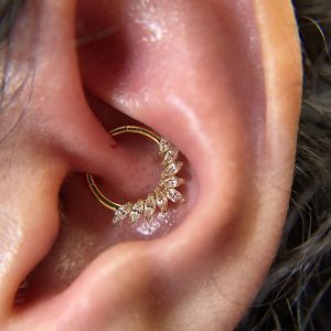 Daith dorado marquise