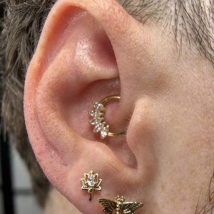 Lobe moth
